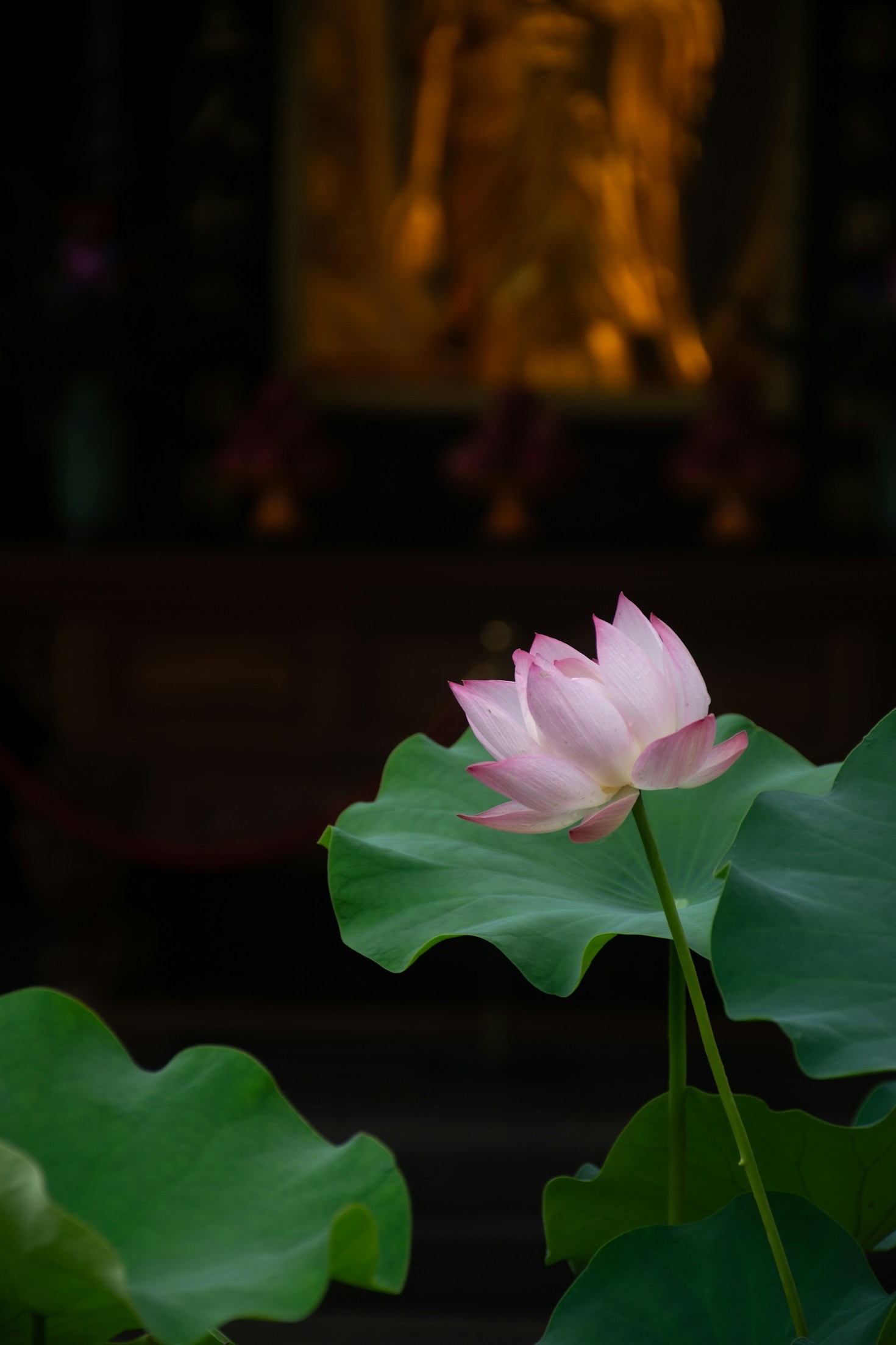 Bewusstseinsarbeit: Ein Weg zu mehr Klarheit