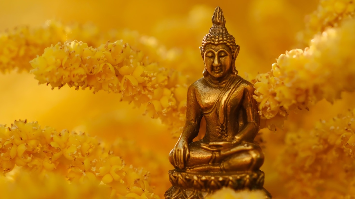 Fünf Schritte zu innerem Frieden mit Reiki