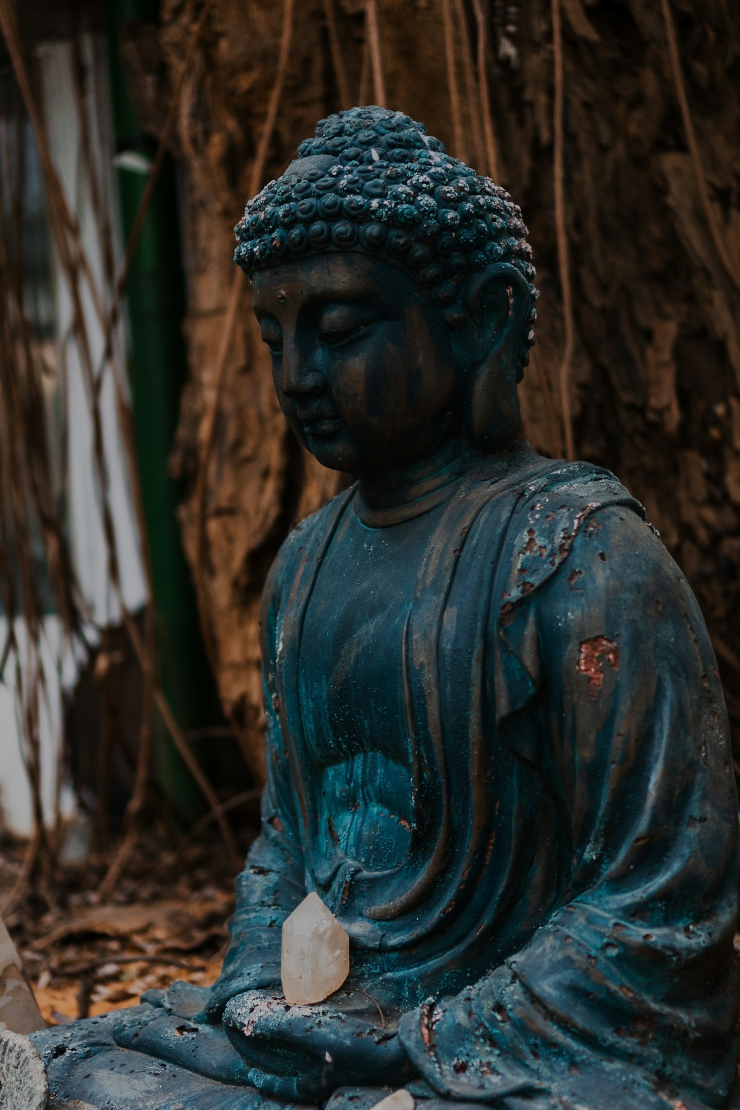 Die heilende Kraft von Energie und Ruhe